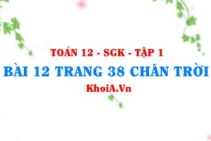 Bài 12 trang 38 Toán 12 Tập 1 Chân trời sáng tạo